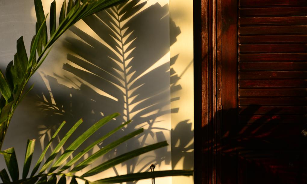 Residence on the Rocks