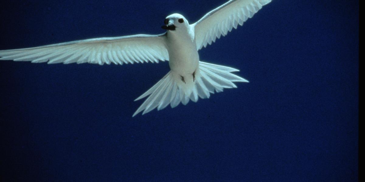 Residence on the Rocks