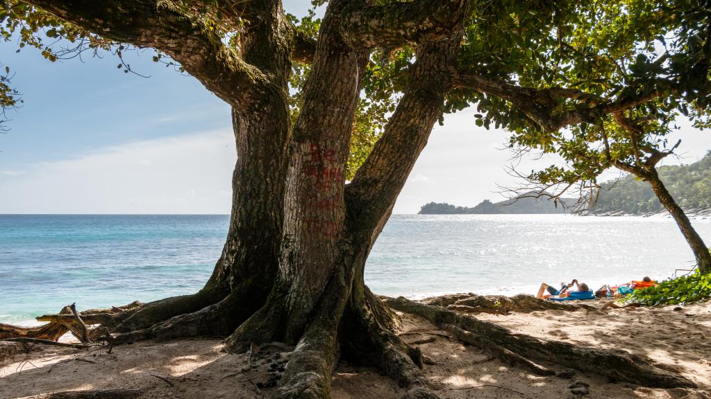 Foto 30: Takamaka Green Village - Mahé (Seychelles)