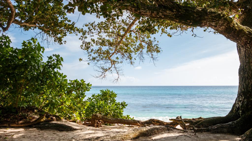 Photo 31: Takamaka Green Village - Mahé (Seychelles)
