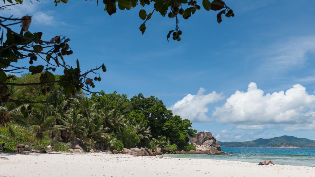 Photo 26: Anse Severe Beach Villa - La Digue (Seychelles)