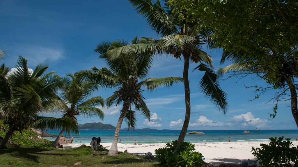 Photo 29: Anse Severe Beach Villa - La Digue (Seychelles)