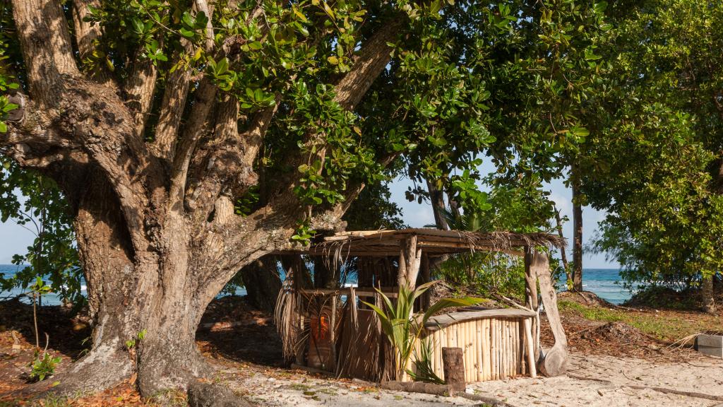 Foto 38: Anse Severe Beach Villa - La Digue (Seychelles)