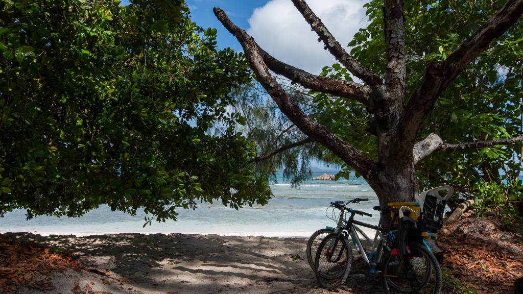 Photo 35: Anse Severe Beach Villa - La Digue (Seychelles)