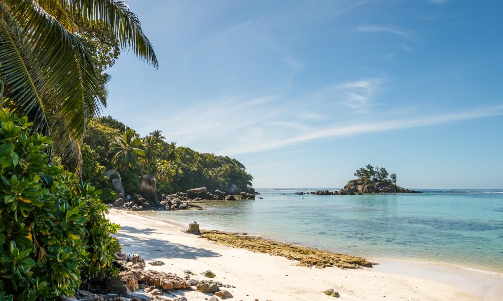 Shanaz Beachside Retreat