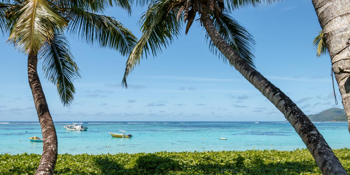 Shanaz Beachside Retreat