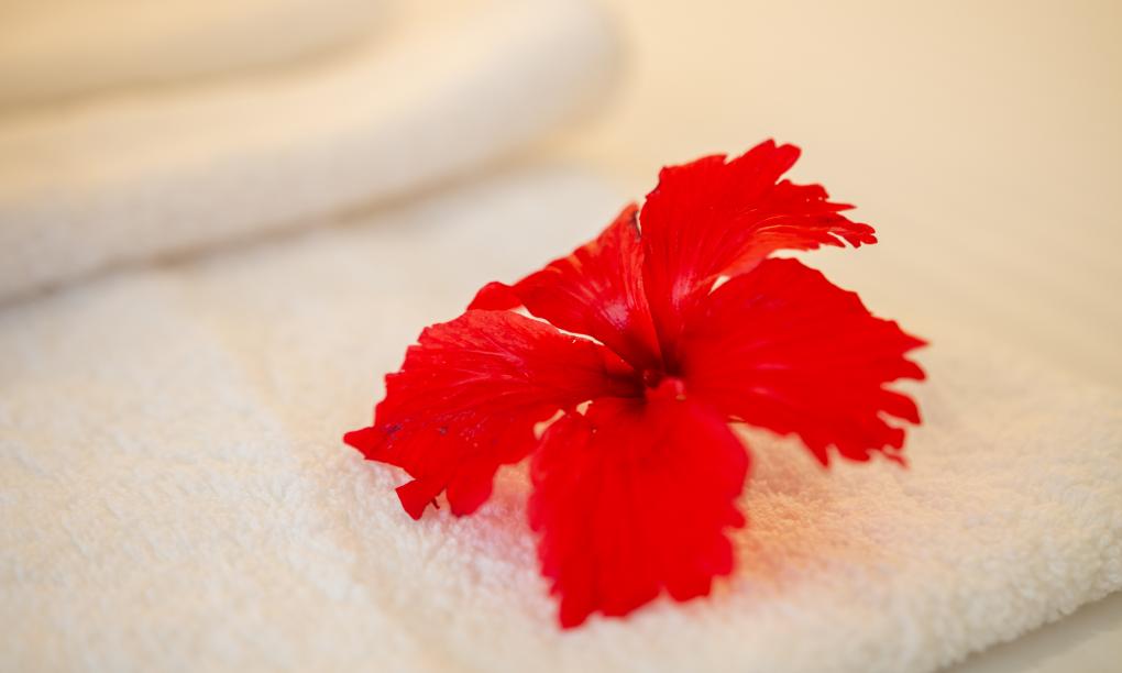 Residence Argine - 2-Bedroom Apartment