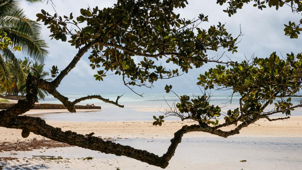 Foto 27: Residence Argine - Mahé (Seychelles)