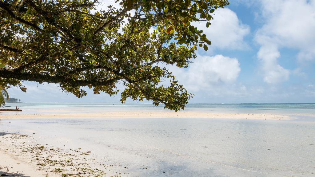 Foto 28: Residence Argine - Mahé (Seychelles)