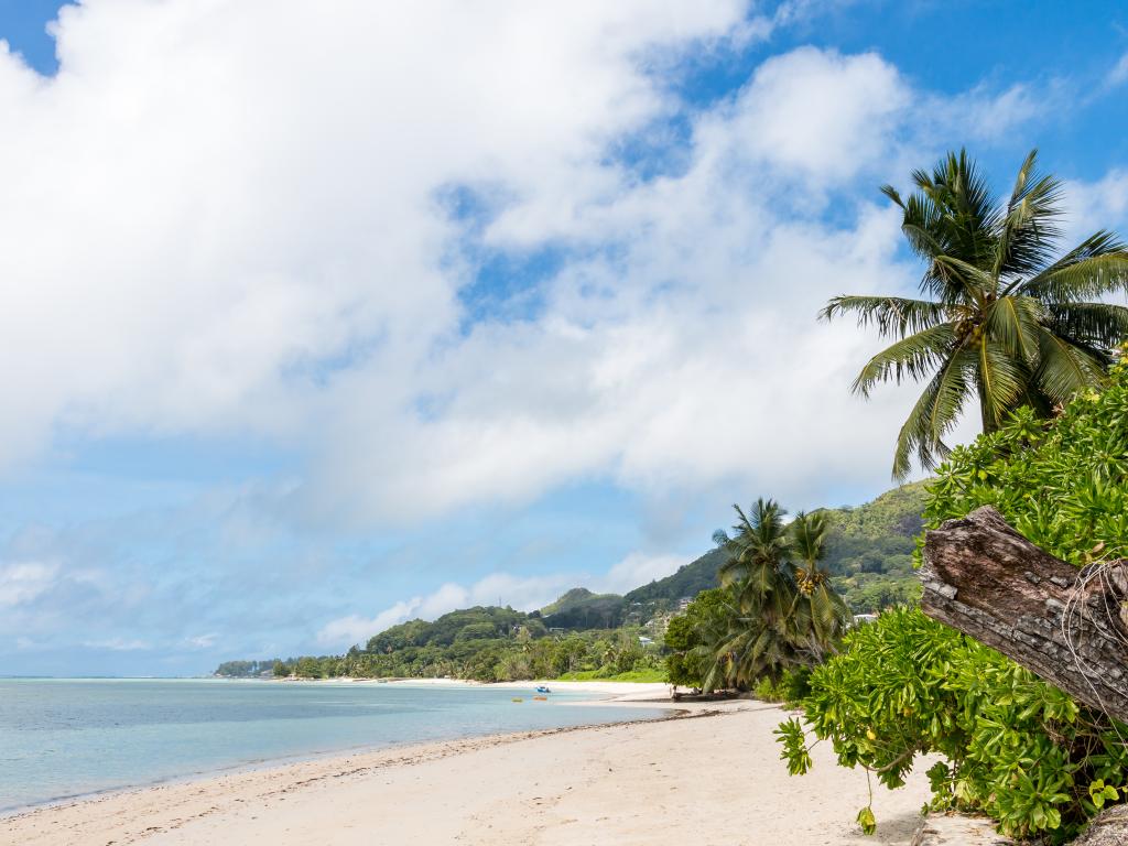 Residence Argine - Photo 2