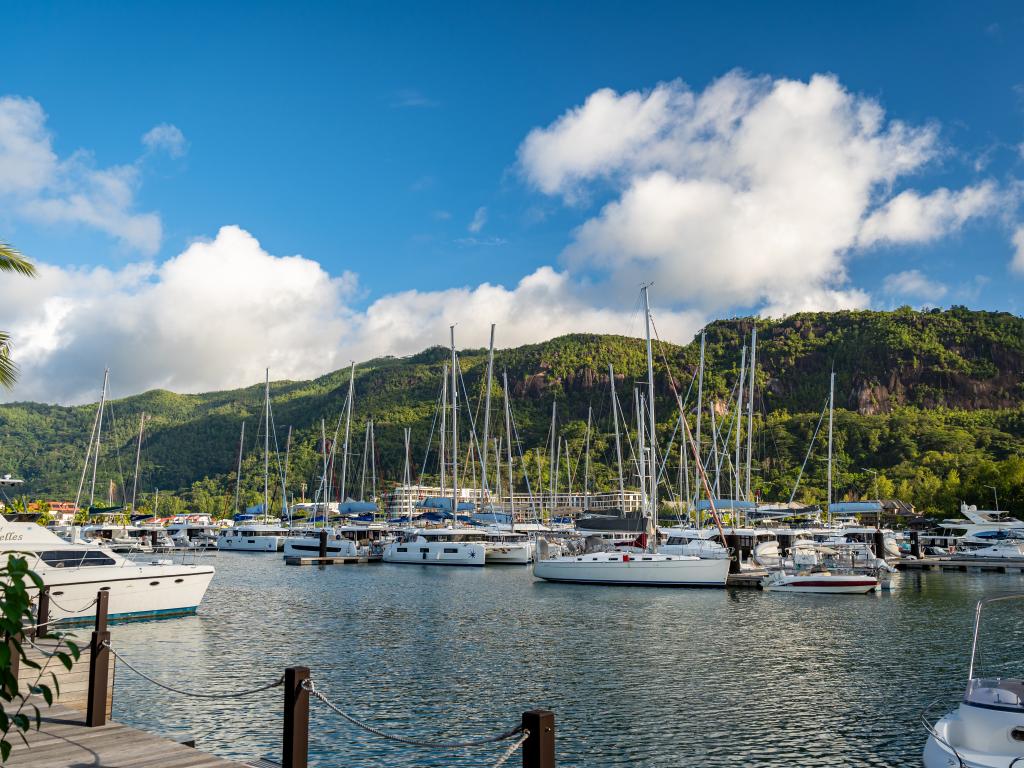 Seyscapes Yacht Charter Tina - Photo 8