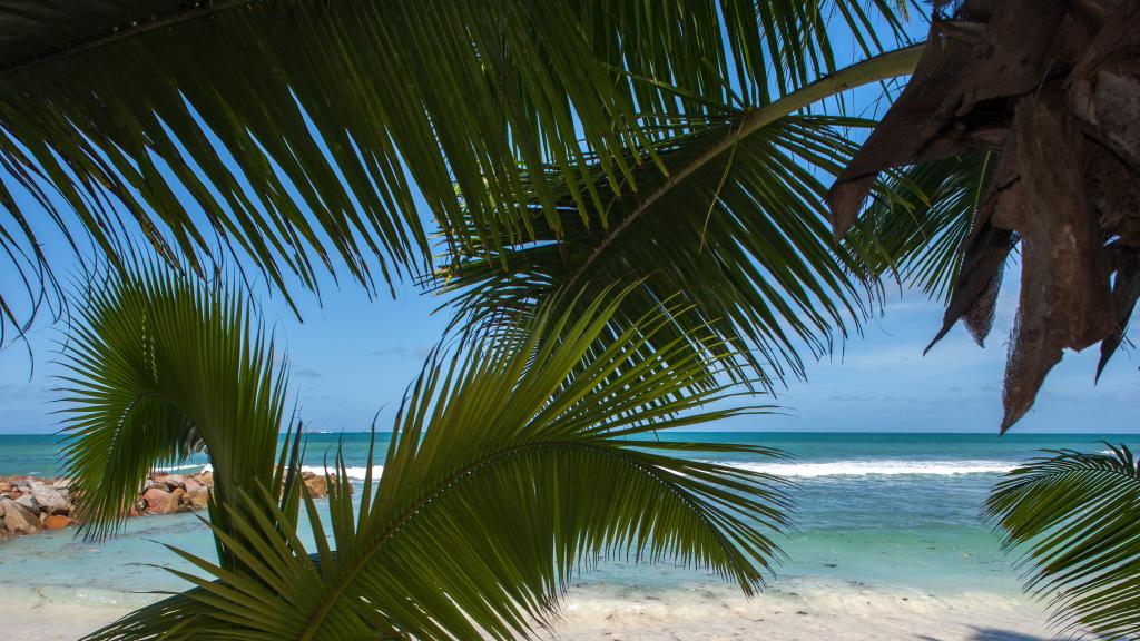 Foto 11: Tropic Villa Annex - Praslin (Seychelles)