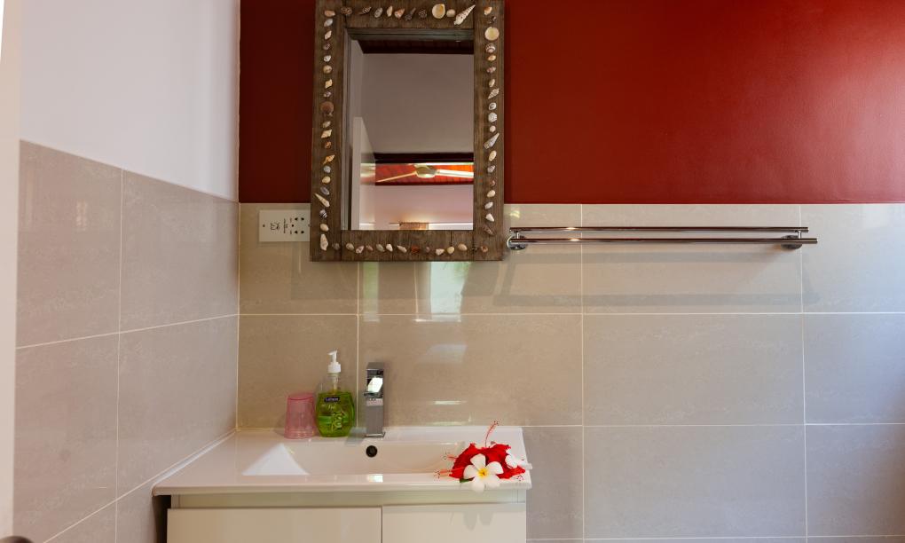 Nid'Aigle Lodge - Appartement mit Terrasse