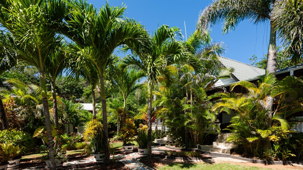 Photo 37: Nid'Aigle Lodge - Praslin (Seychelles)