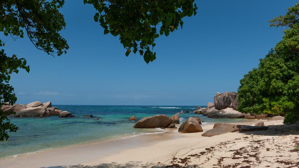 Photo 26: Nid'Aigle Lodge - Praslin (Seychelles)