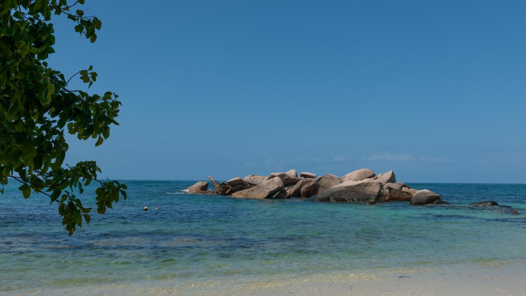 Photo 27: Nid'Aigle Lodge - Praslin (Seychelles)