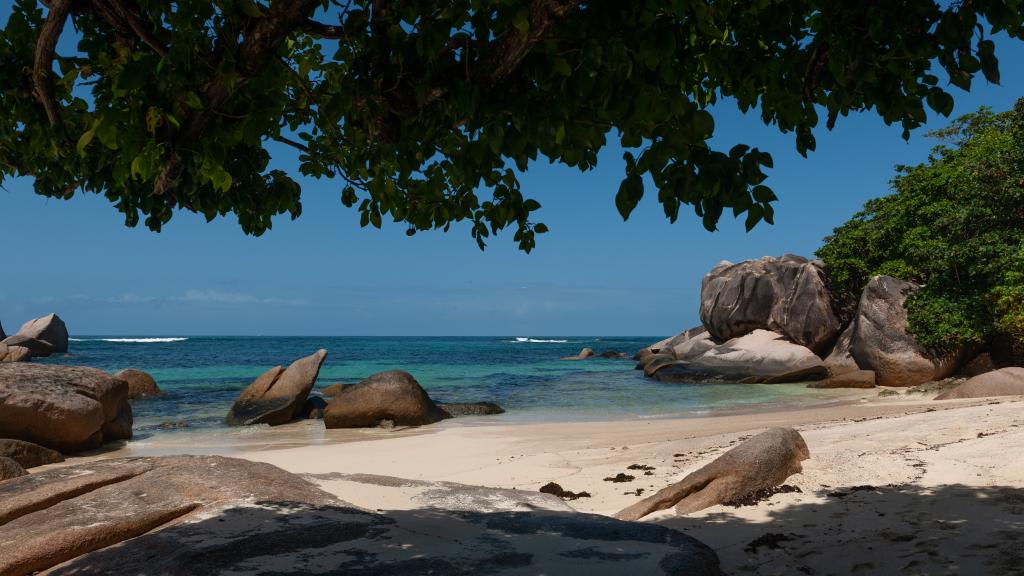 Photo 28: Nid'Aigle Lodge - Praslin (Seychelles)