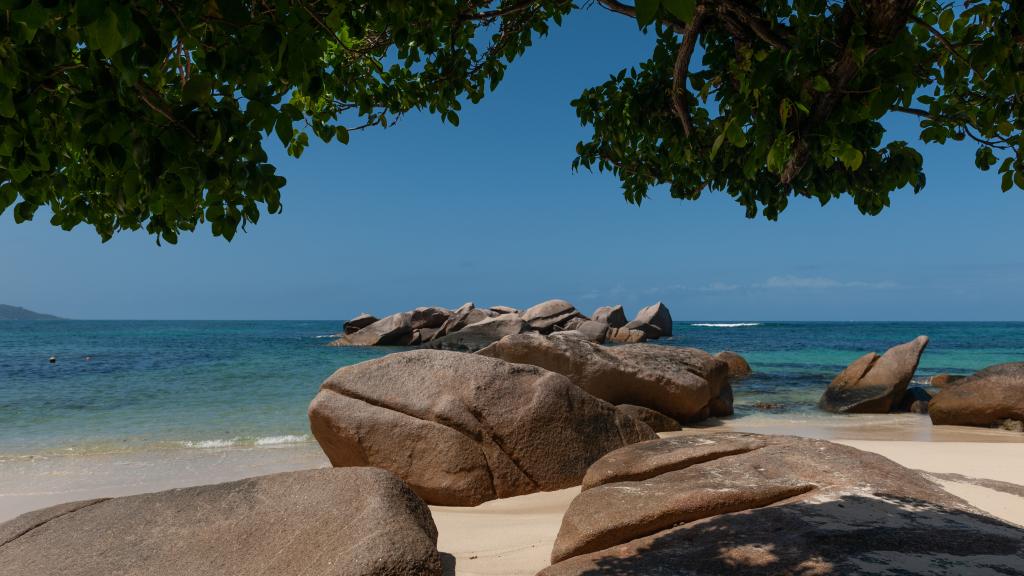 Photo 29: Nid'Aigle Lodge - Praslin (Seychelles)