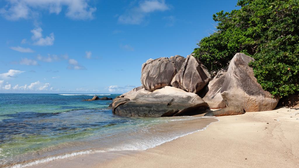 Photo 97: Nid'Aigle Lodge - Praslin (Seychelles)