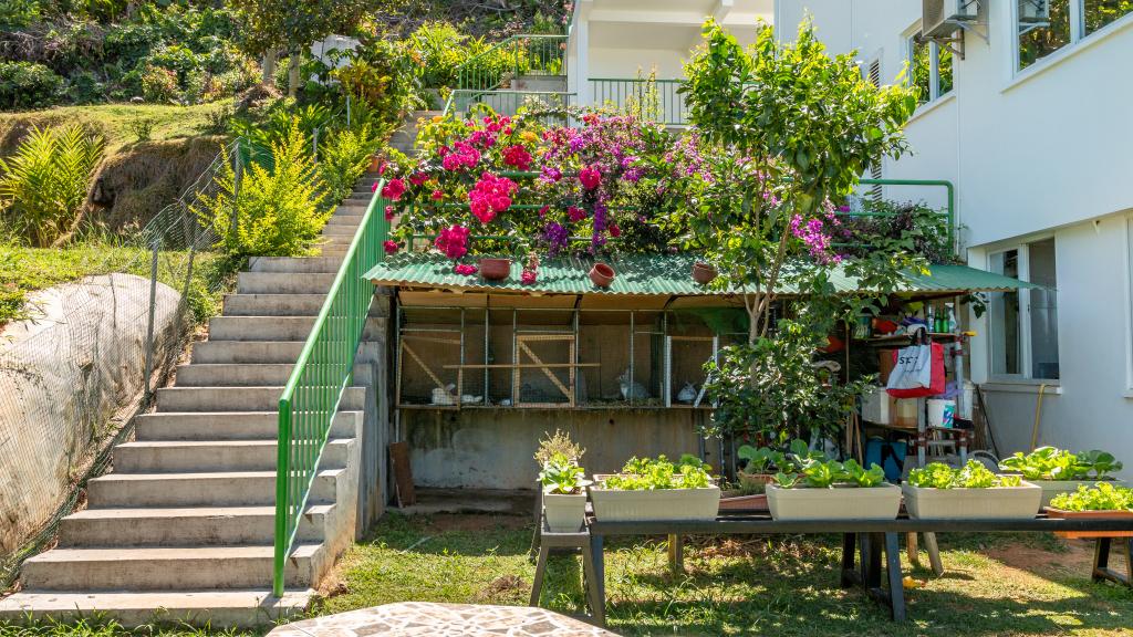 Foto 15: Man-Fiyo - Mahé (Seychelles)