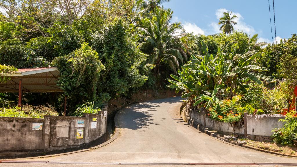 Foto 18: Man-Fiyo - Mahé (Seychelles)