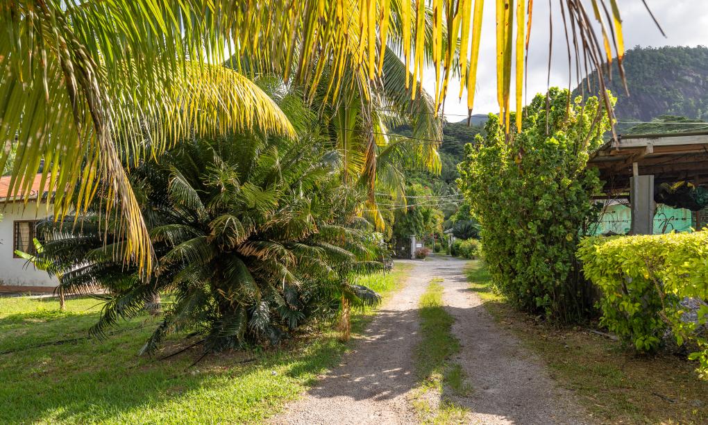 Palm Royal Luxury Villas