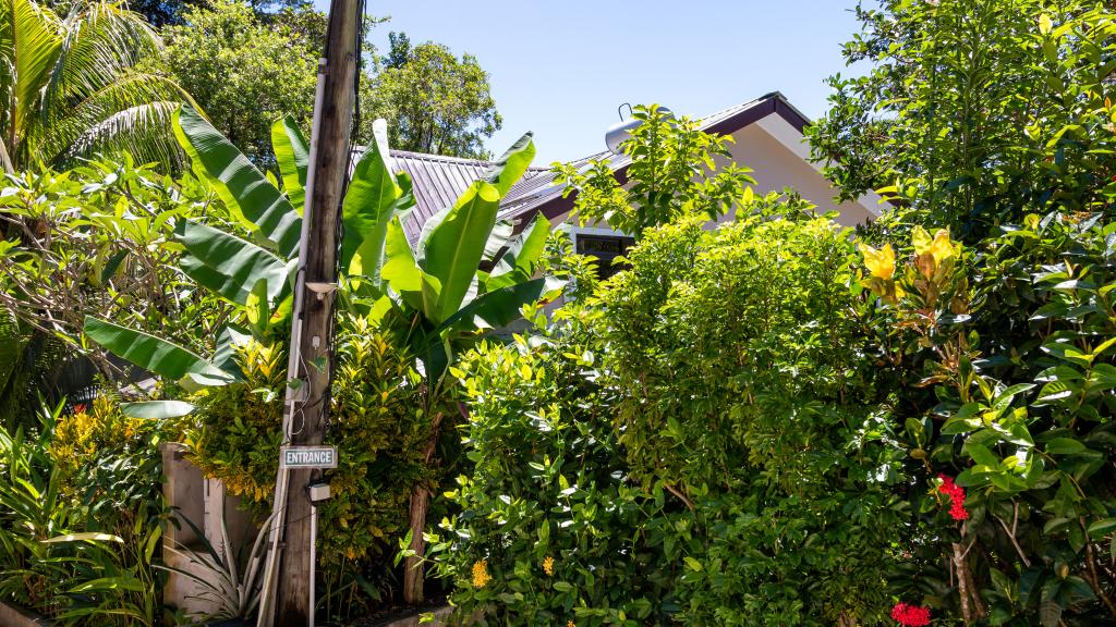 Photo 6: Belle Montagne Holiday - Mahé (Seychelles)