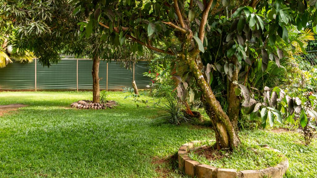 Photo 7: Belle Montagne Holiday - Mahé (Seychelles)