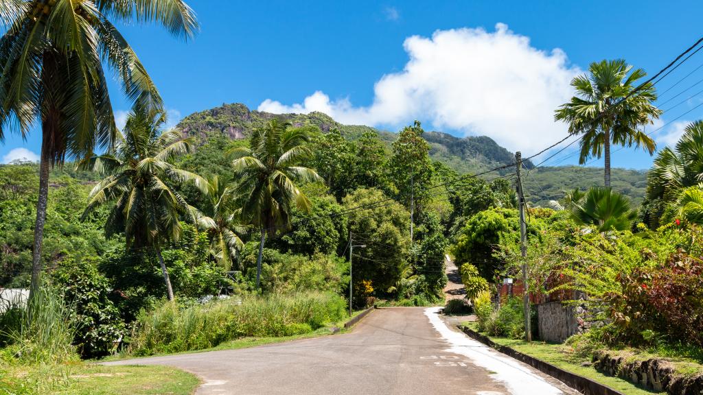 Photo 21: Belle Montagne Holiday - Mahé (Seychelles)