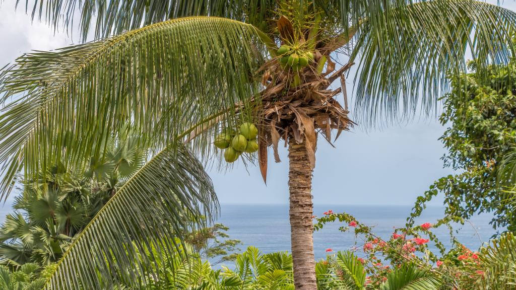 Photo 118: Lemongrass Lodge - Mahé (Seychelles)