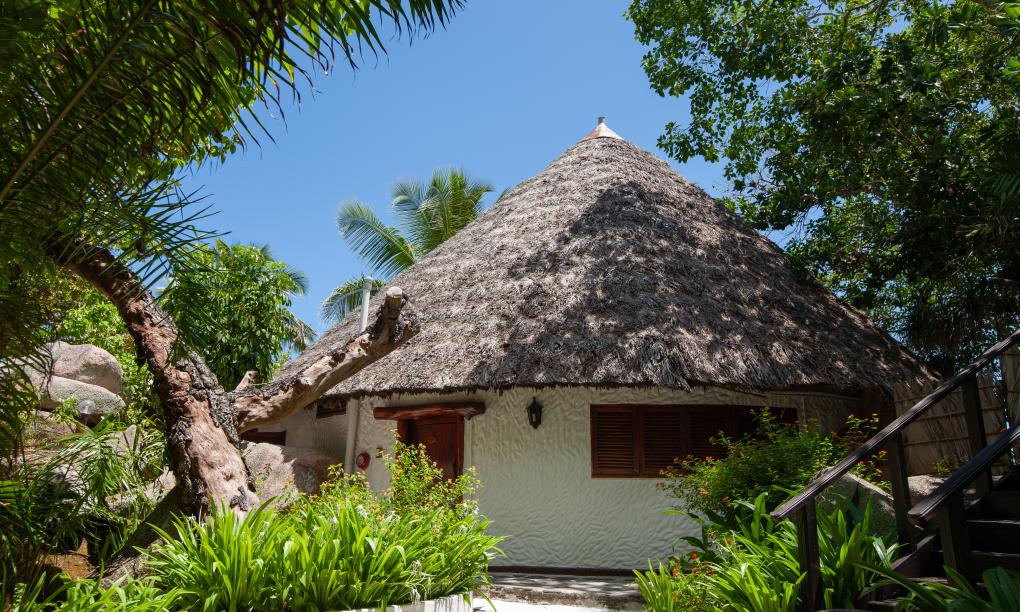 Chauve Souris Relais