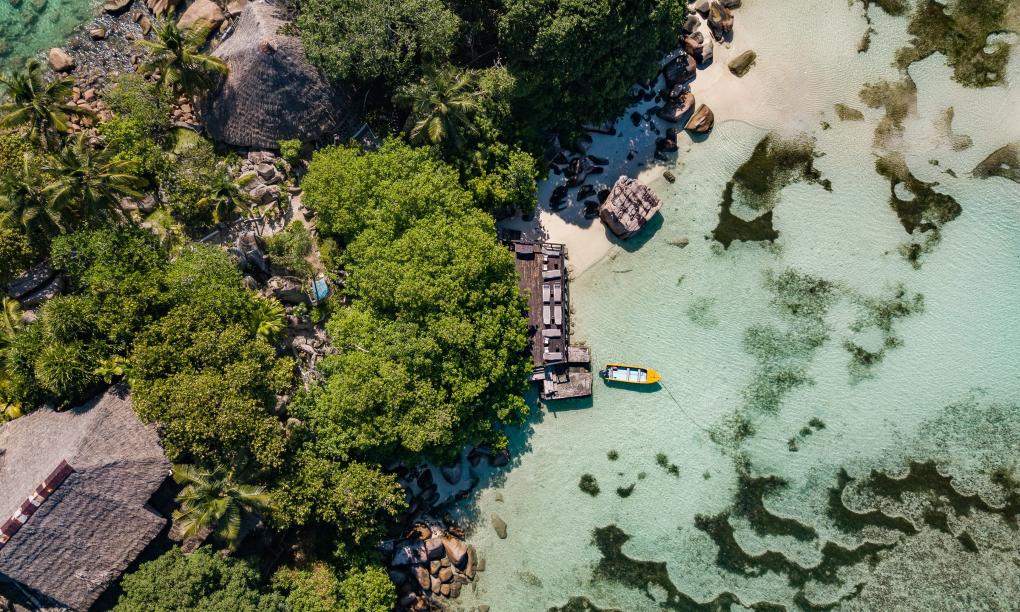 Chauve Souris Relais