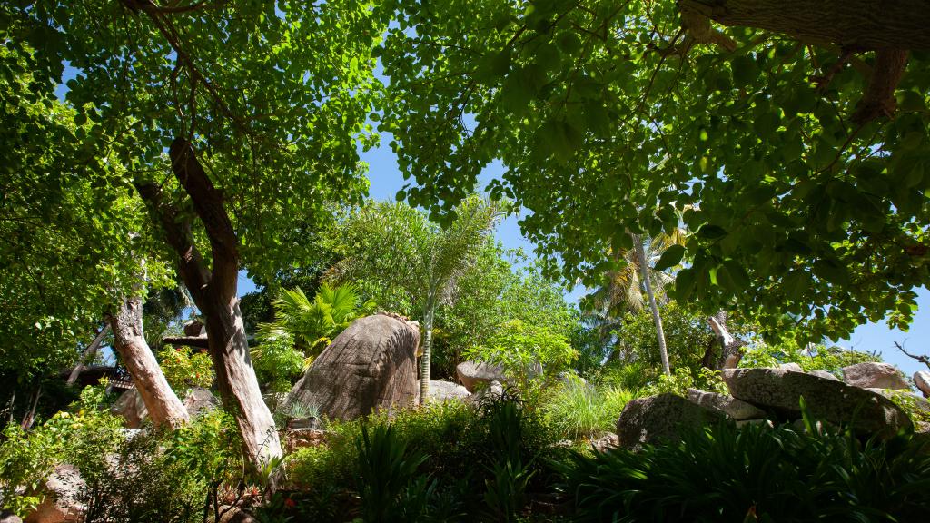 Photo 16: Chauve Souris Relais - Praslin (Seychelles)