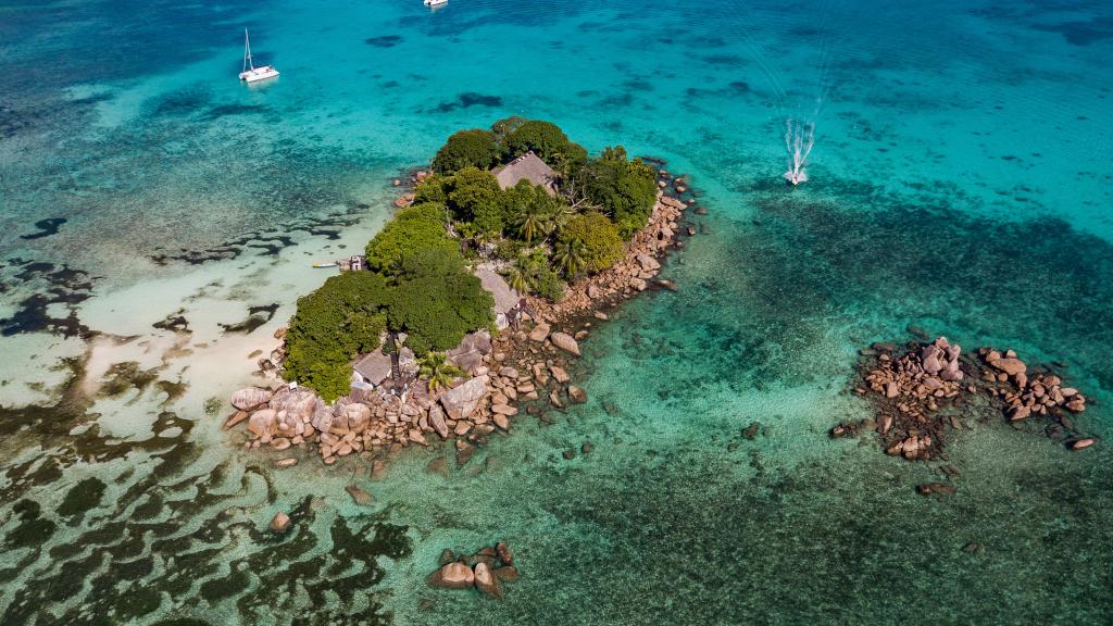 Photo 4: Chauve Souris Relais - Praslin (Seychelles)