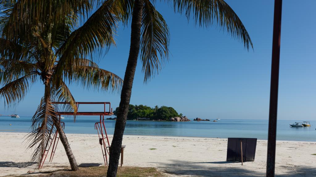 Photo 25: Chauve Souris Relais - Praslin (Seychelles)