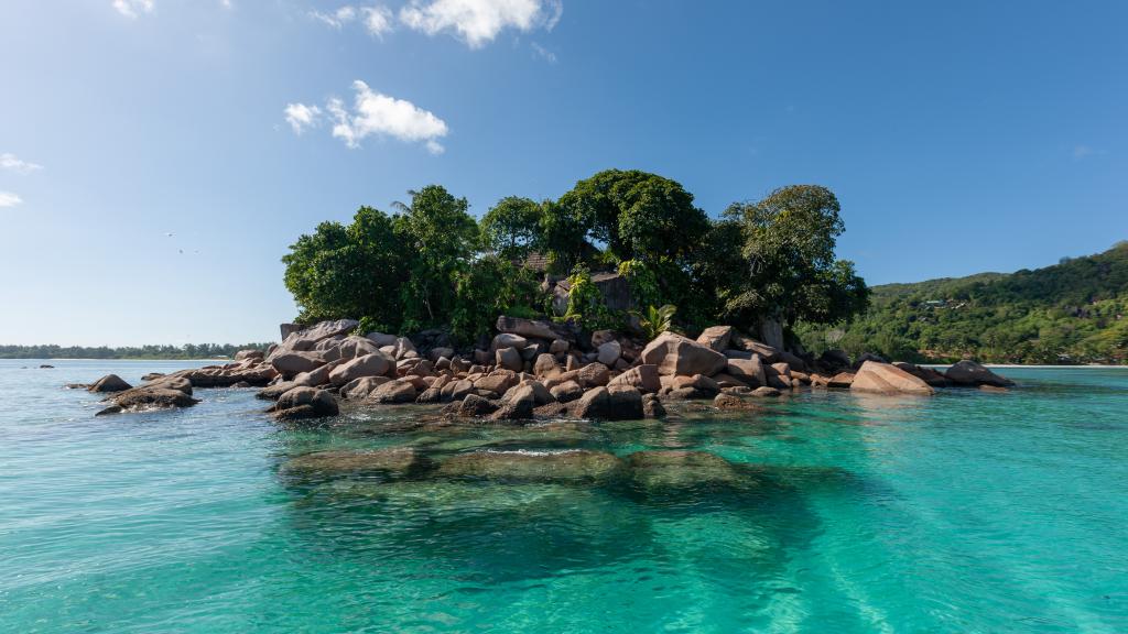 Photo 8: Chauve Souris Relais - Praslin (Seychelles)