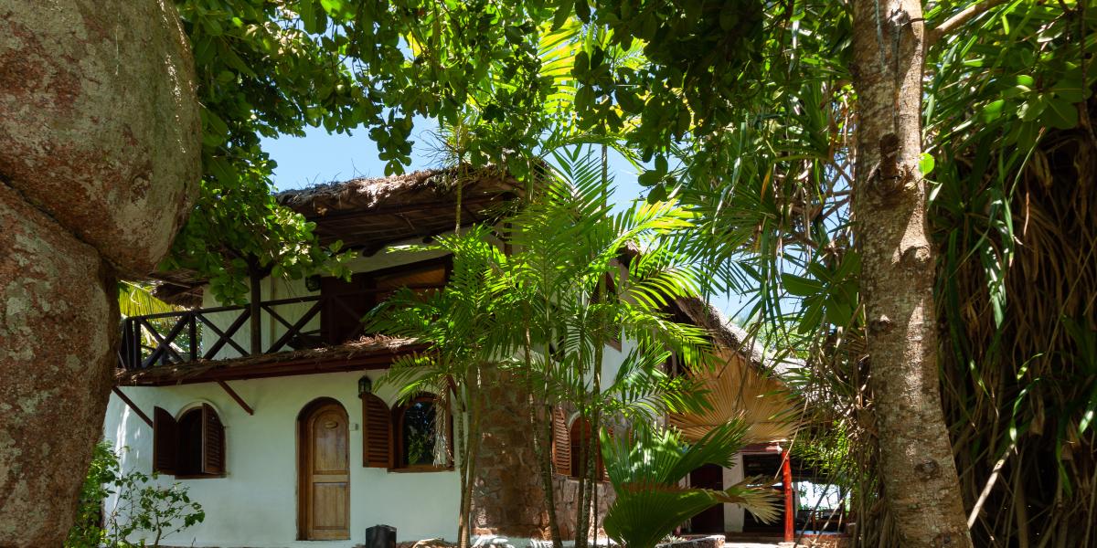 Chauve Souris Relais