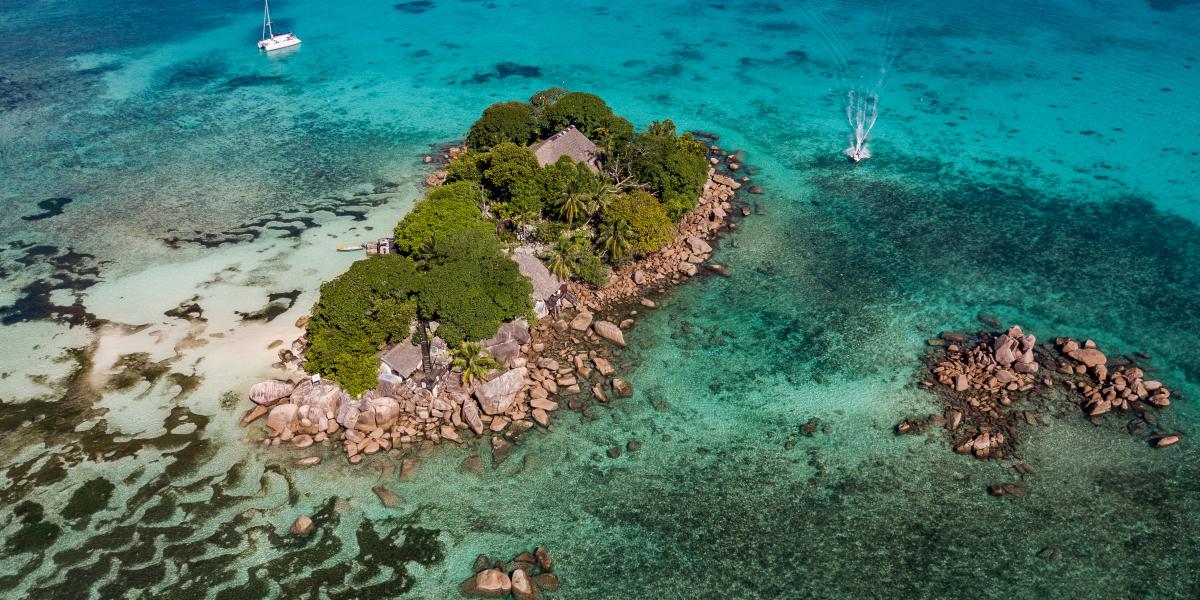 Chauve Souris Relais