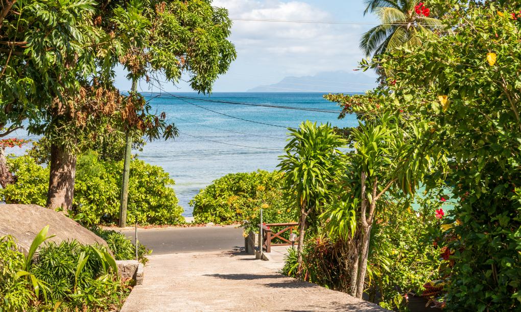 The Beach House (Chateau Martha)