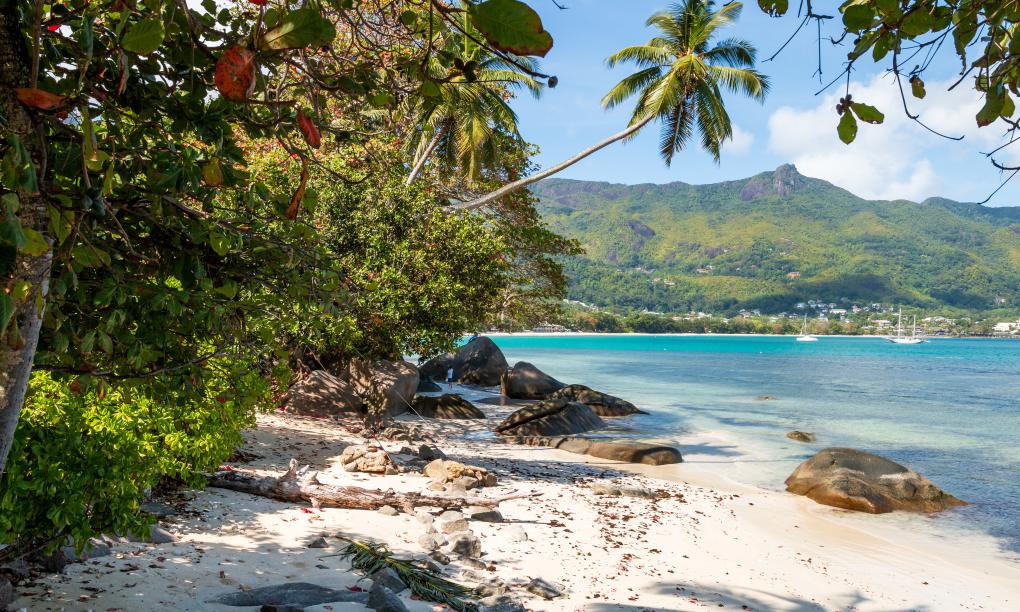 The Beach House (Chateau Martha)