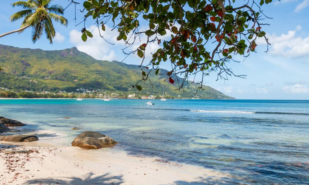 The Beach House (Chateau Martha)