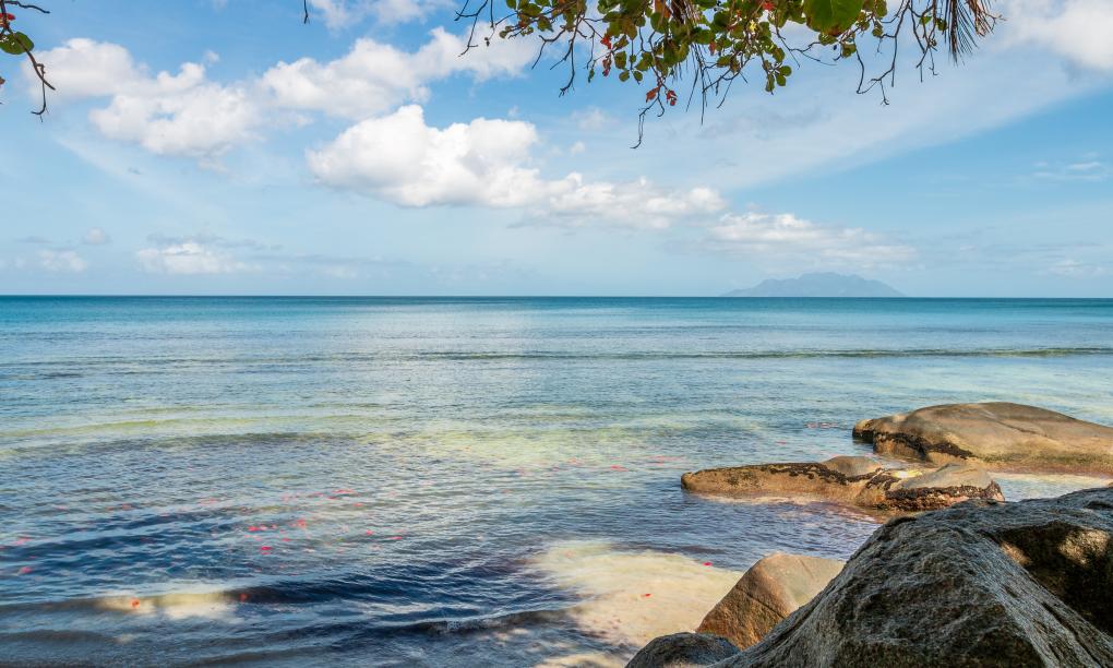 The Beach House (Chateau Martha)