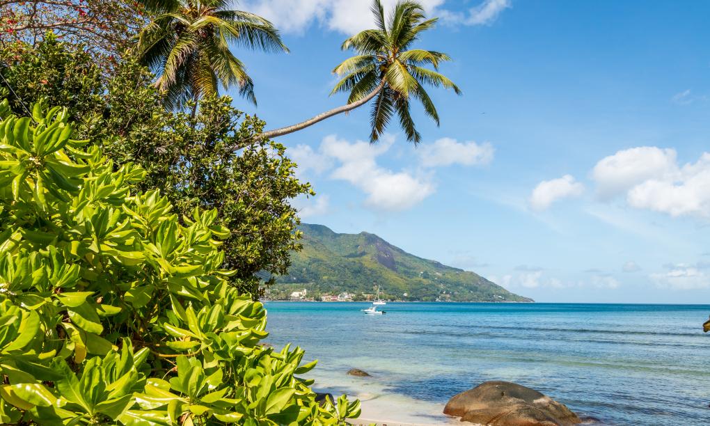 The Beach House (Chateau Martha)