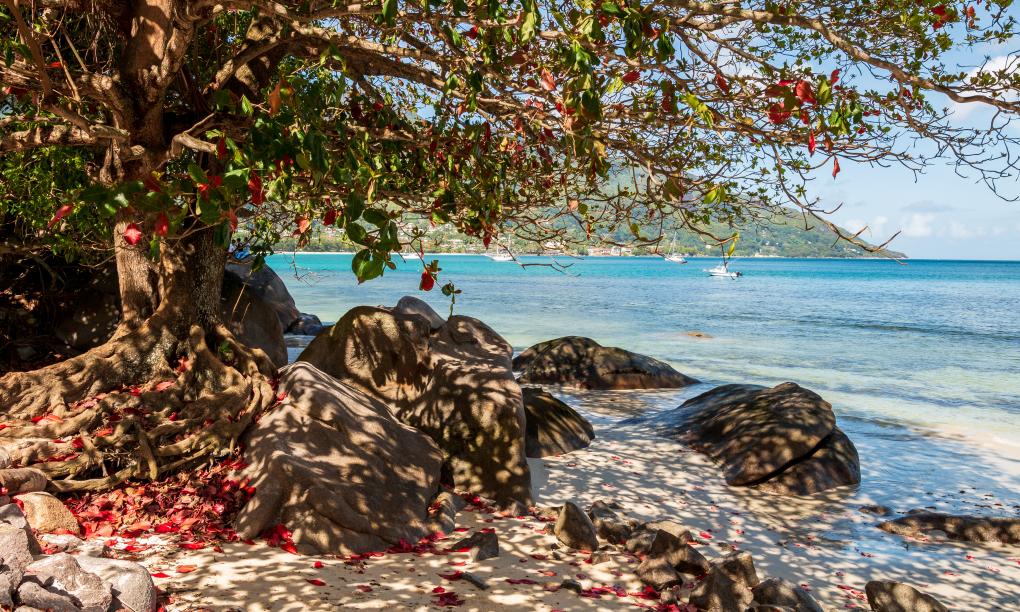 The Beach House (Chateau Martha)