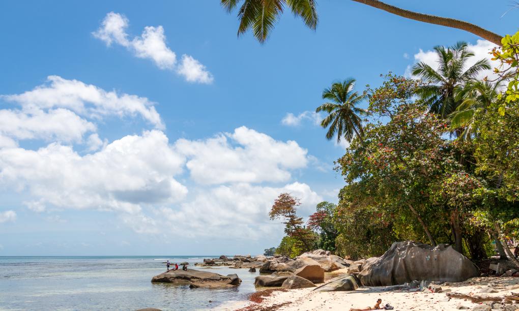 The Beach House (Chateau Martha)