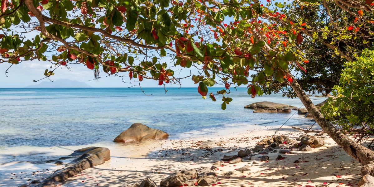 The Beach House (Chateau Martha)