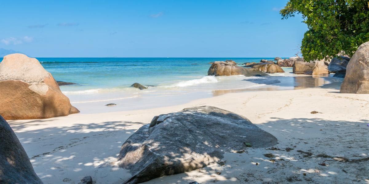 The Beach House (Chateau Martha)