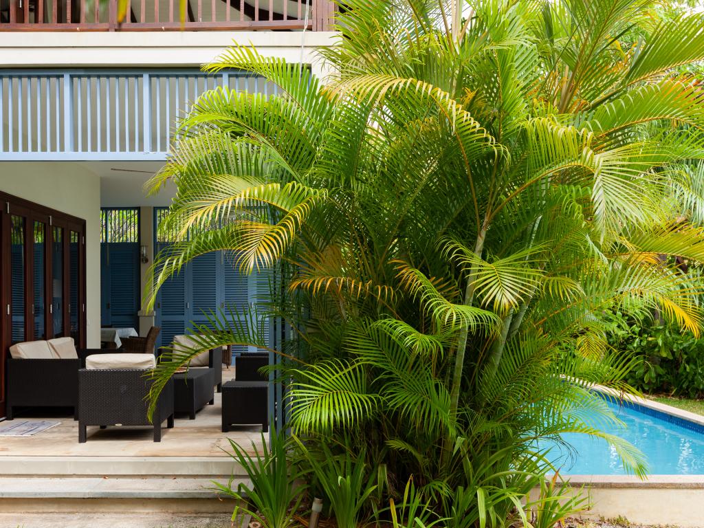 Villa Eden Maison 69 - Foto 3