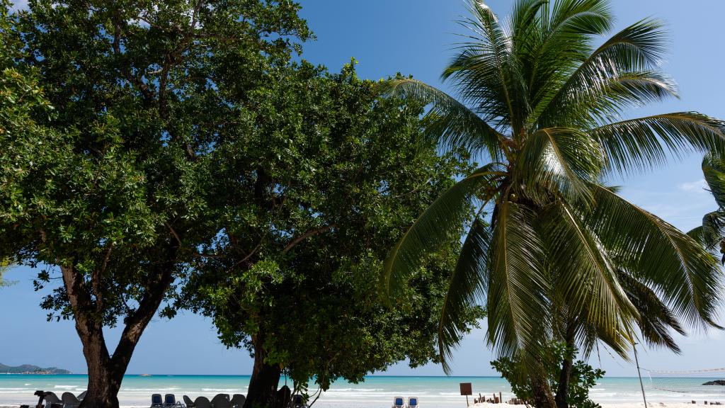 Photo 43: Hotel Cote D'Or Lodge - Praslin (Seychelles)