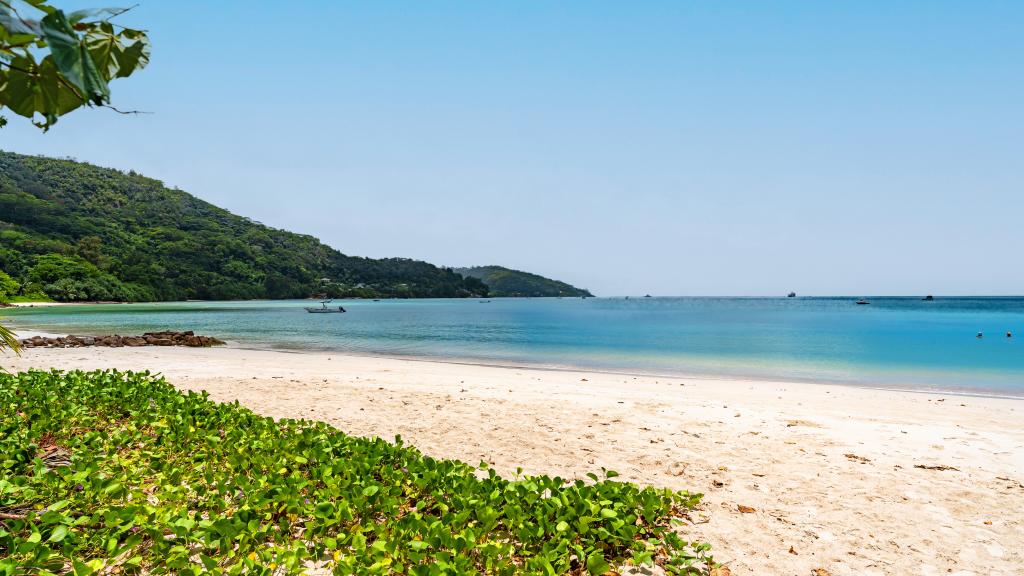 Photo 60: The Seaboards Apartments - Mahé (Seychelles)